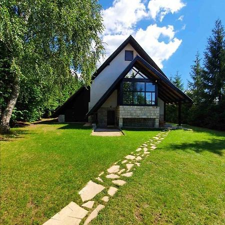 Villa Planinska Kuca Sa Dvoristem à Zlatibor Extérieur photo