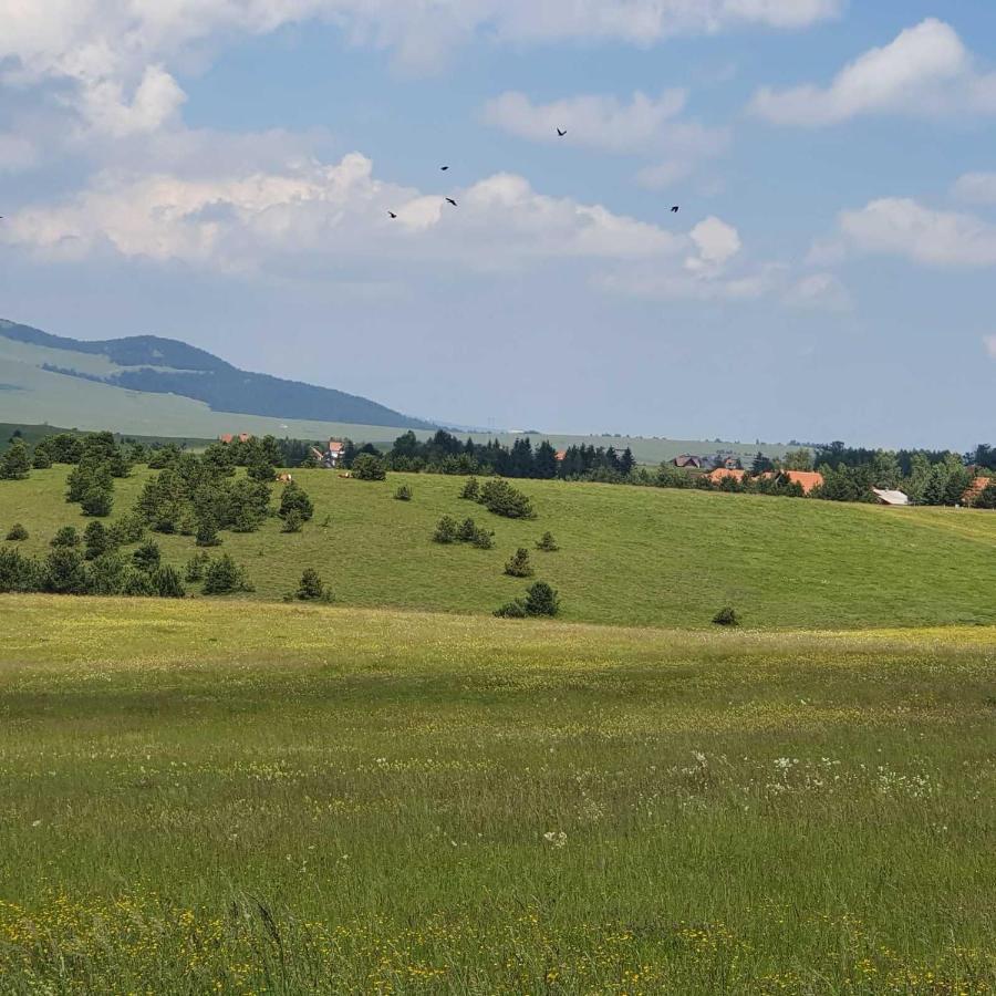 Villa Planinska Kuca Sa Dvoristem à Zlatibor Extérieur photo