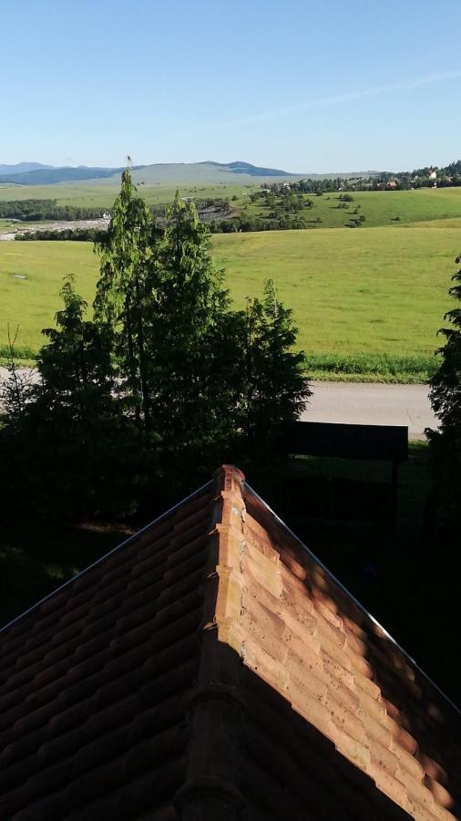 Villa Planinska Kuca Sa Dvoristem à Zlatibor Extérieur photo