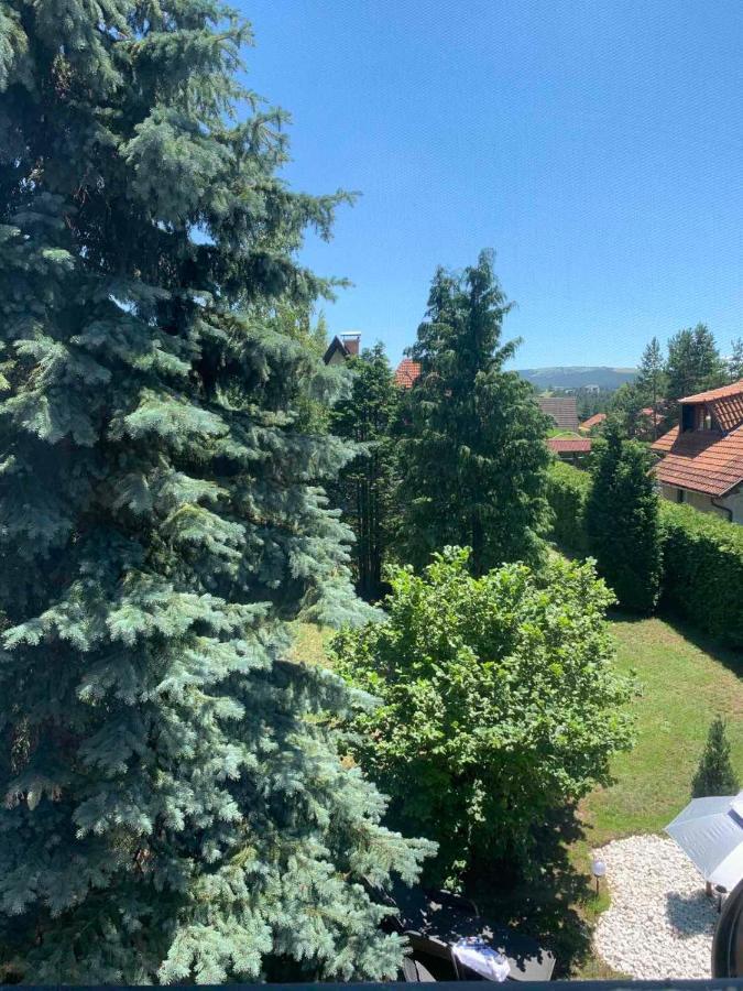 Villa Planinska Kuca Sa Dvoristem à Zlatibor Extérieur photo