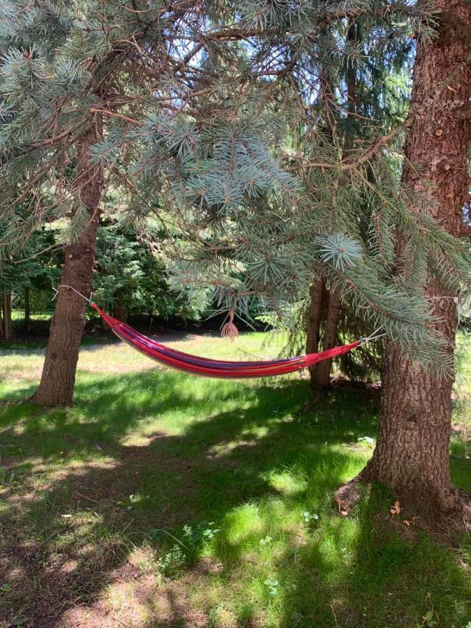 Villa Planinska Kuca Sa Dvoristem à Zlatibor Extérieur photo