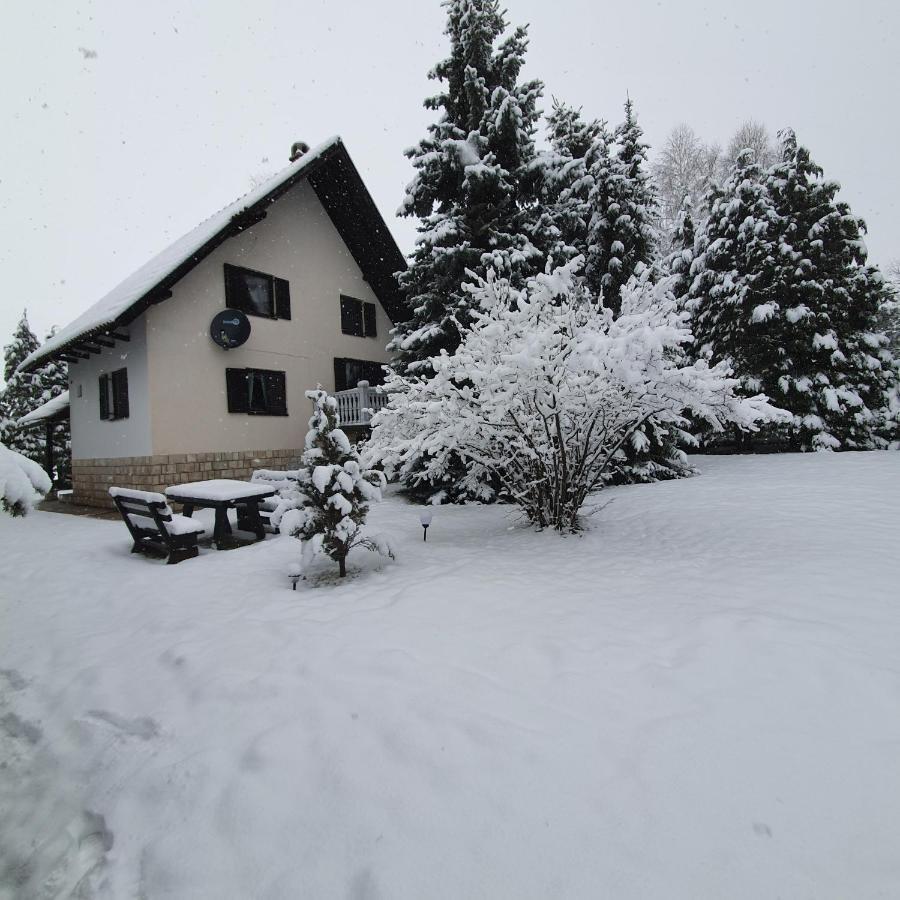 Villa Planinska Kuca Sa Dvoristem à Zlatibor Extérieur photo