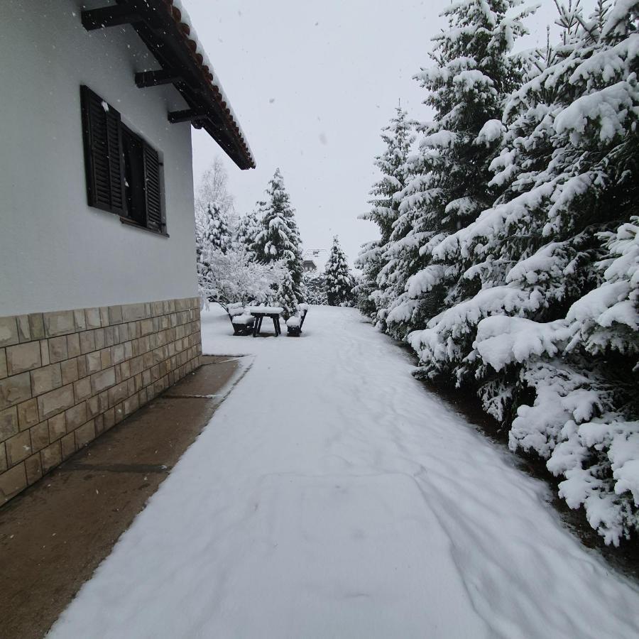 Villa Planinska Kuca Sa Dvoristem à Zlatibor Extérieur photo