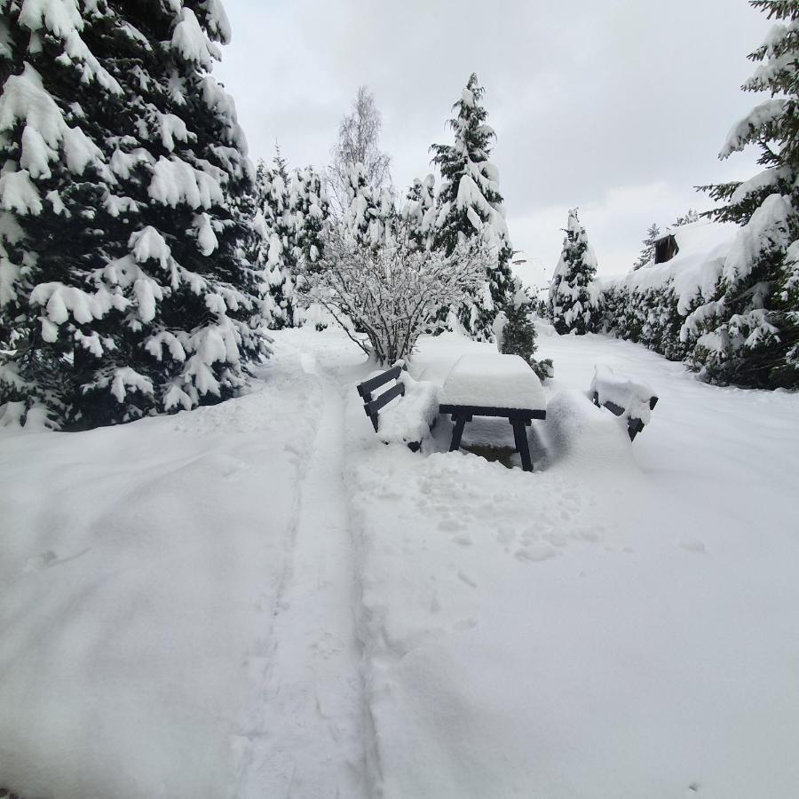 Villa Planinska Kuca Sa Dvoristem à Zlatibor Extérieur photo